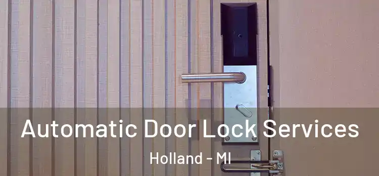 Automatic Door Lock Services Holland - MI