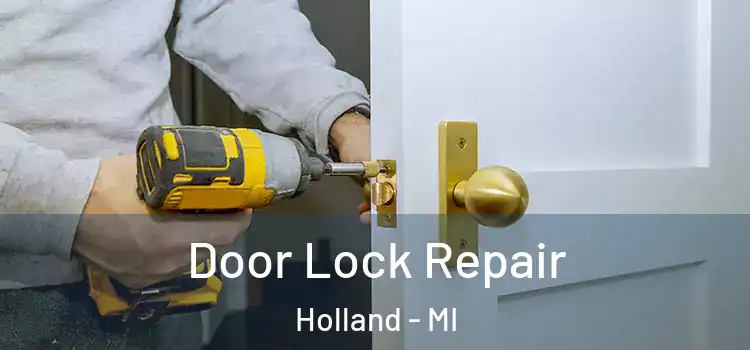 Door Lock Repair Holland - MI