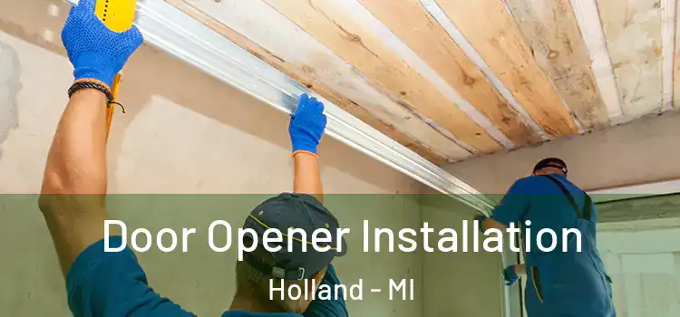 Door Opener Installation Holland - MI