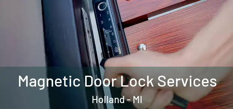 Magnetic Door Lock Services Holland - MI