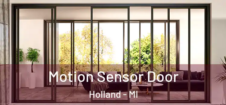 Motion Sensor Door Holland - MI